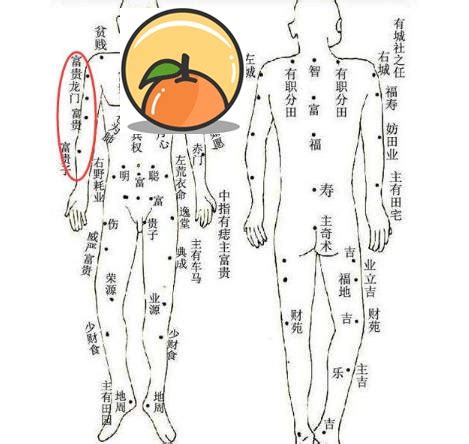 上手臂有痣|從手上的痣看你的好運在哪？上手臂有痣善於 ...